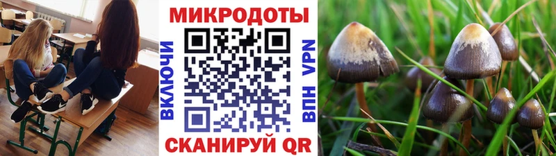 Псилоцибиновые грибы прущие грибы Родники