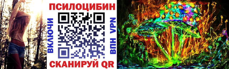 Псилоцибиновые грибы мицелий  Купить  Родники 