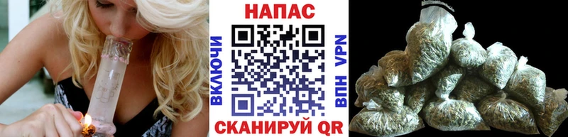 Бошки марихуана конопля  Купить где  Родники 